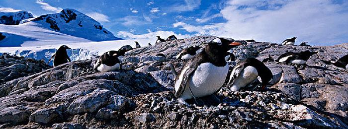 RPG《圣兽之王》探索心得篇预告 3月8日发售