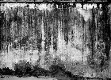 《影之刃零》制作人：单机游戏开发者之间无需竞争