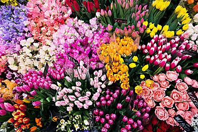 传《使命召唤19》仍会登陆旧主机 新模式借鉴《逃离塔科夫》